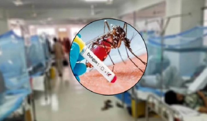 অক্টোবরের ১৩ দিনে ডেঙ্গুতে প্রাণ গেল ৭১ জনের