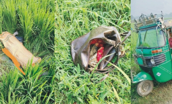 ধানক্ষেতে ধস্তাধস্তির চিহ্ন, প্রাণ বাঁচাতে ছোটাছুটি করেছিল স্কুলছ
