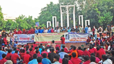 এবার সারাদেশে কর্মবিরতির ডাক দিয়েছে পল্লী বিদ্যুৎ সমিতি